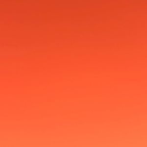 Meet your Posher, Dionna